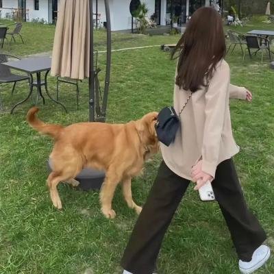 盗匪甜心